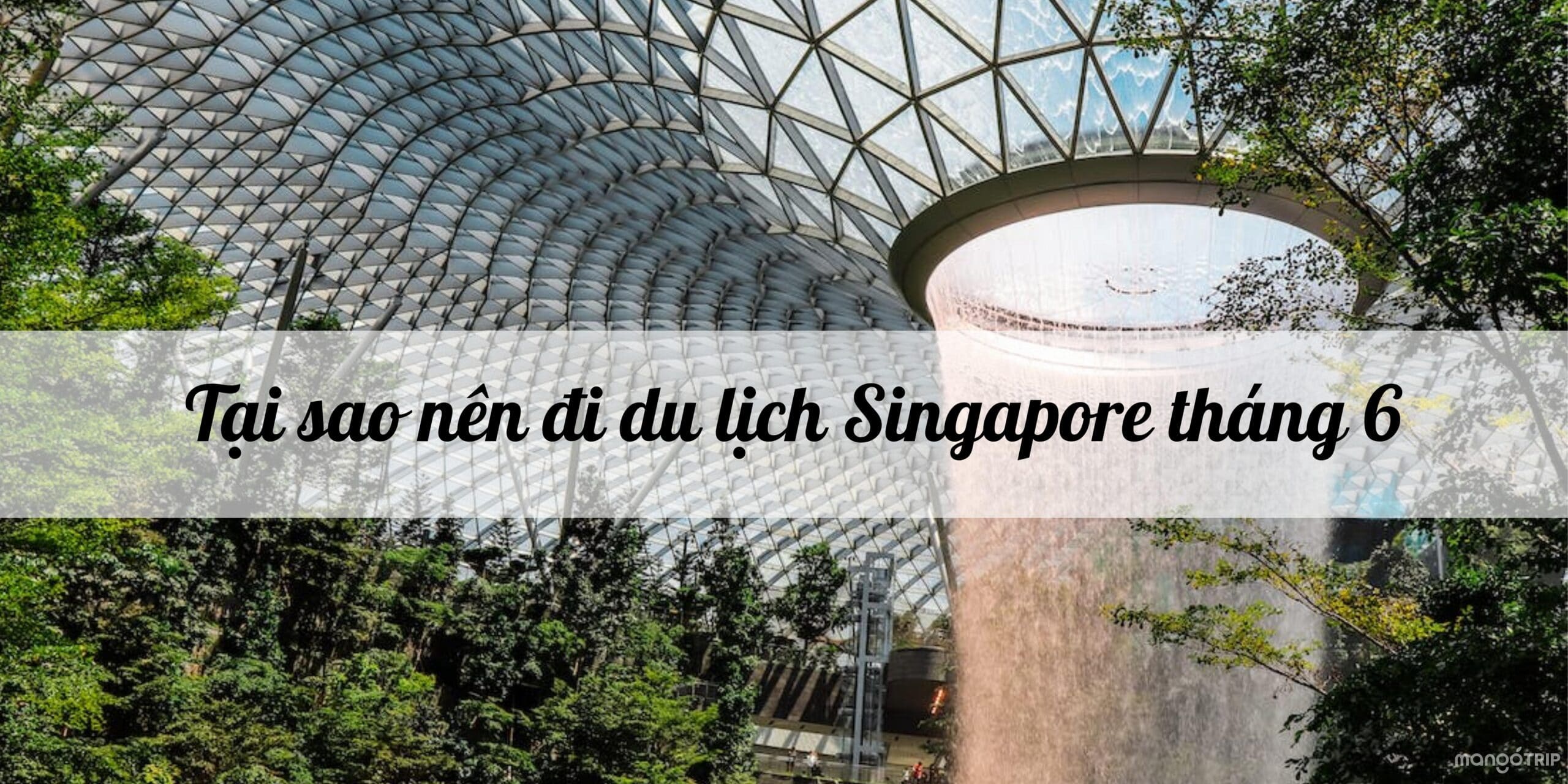 Tại sao nên đi du lịch Singapore tháng 6?